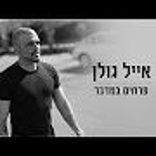 אייל גולן - פרחים במדבר