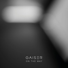 MINUS163: Gaiser - On the Way