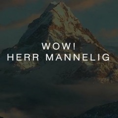 Garmarna - Herr Mannelig (WOW! Remix)