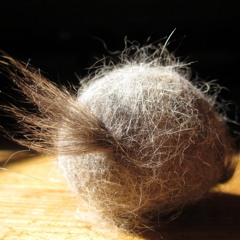 3 - Achnn - Dodeline