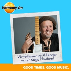 Interview mit Ali Neander (Rodgau Monotones)