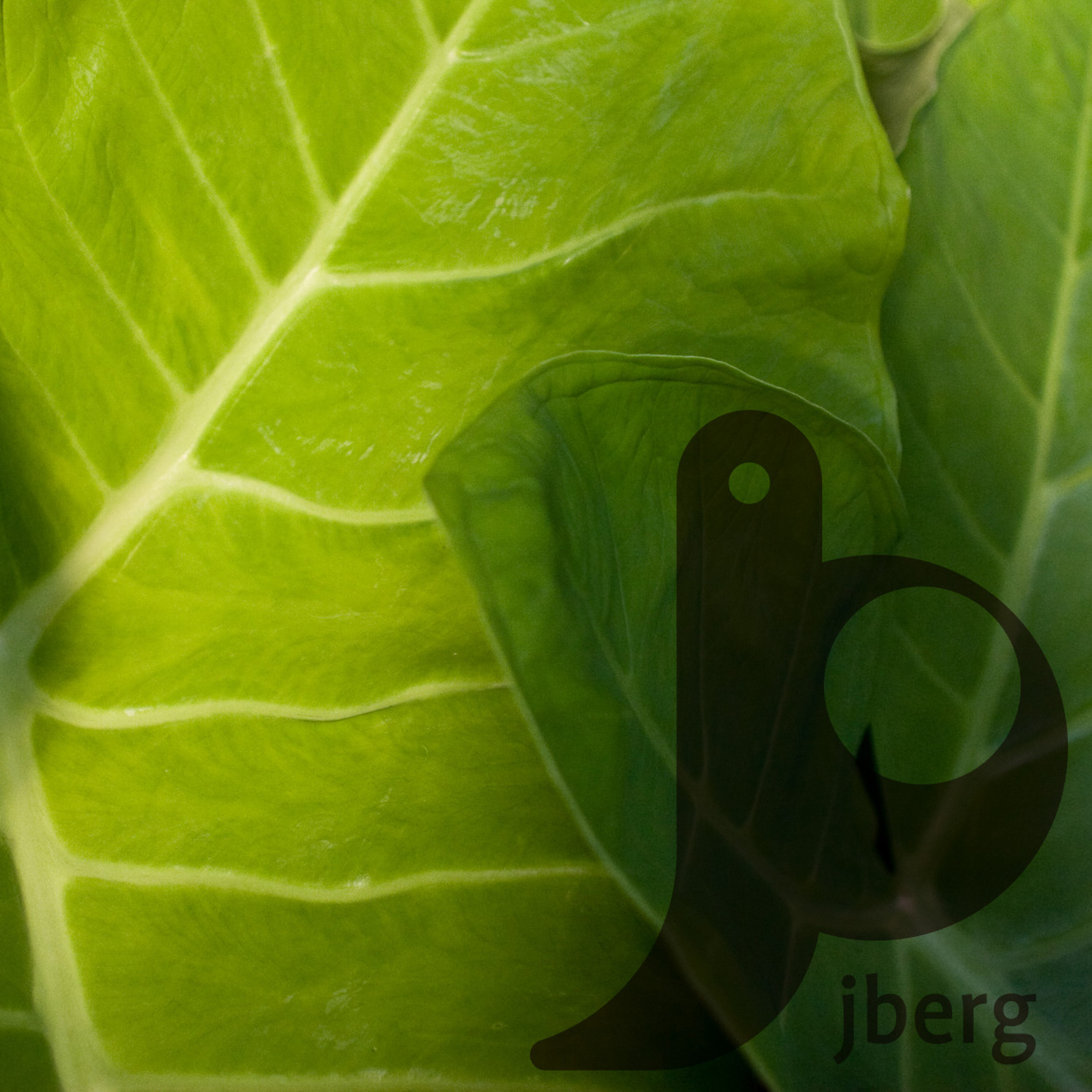 jberg Podcast