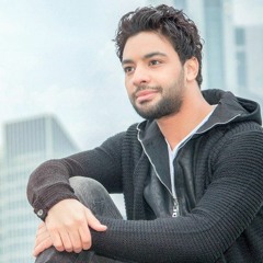 Ahmed Gamal Nashed El - 3ash2en