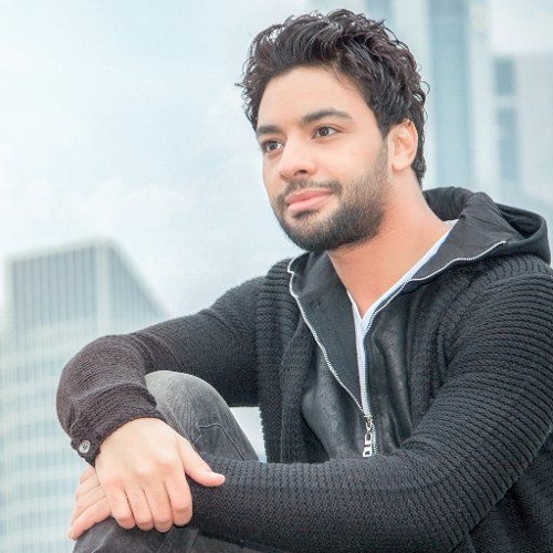 Ahmed Gamal Nashed El - 3ash2en