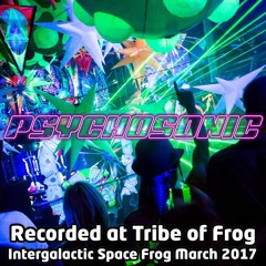Psychosonic - Recorded at Tribe of Frog March 2017