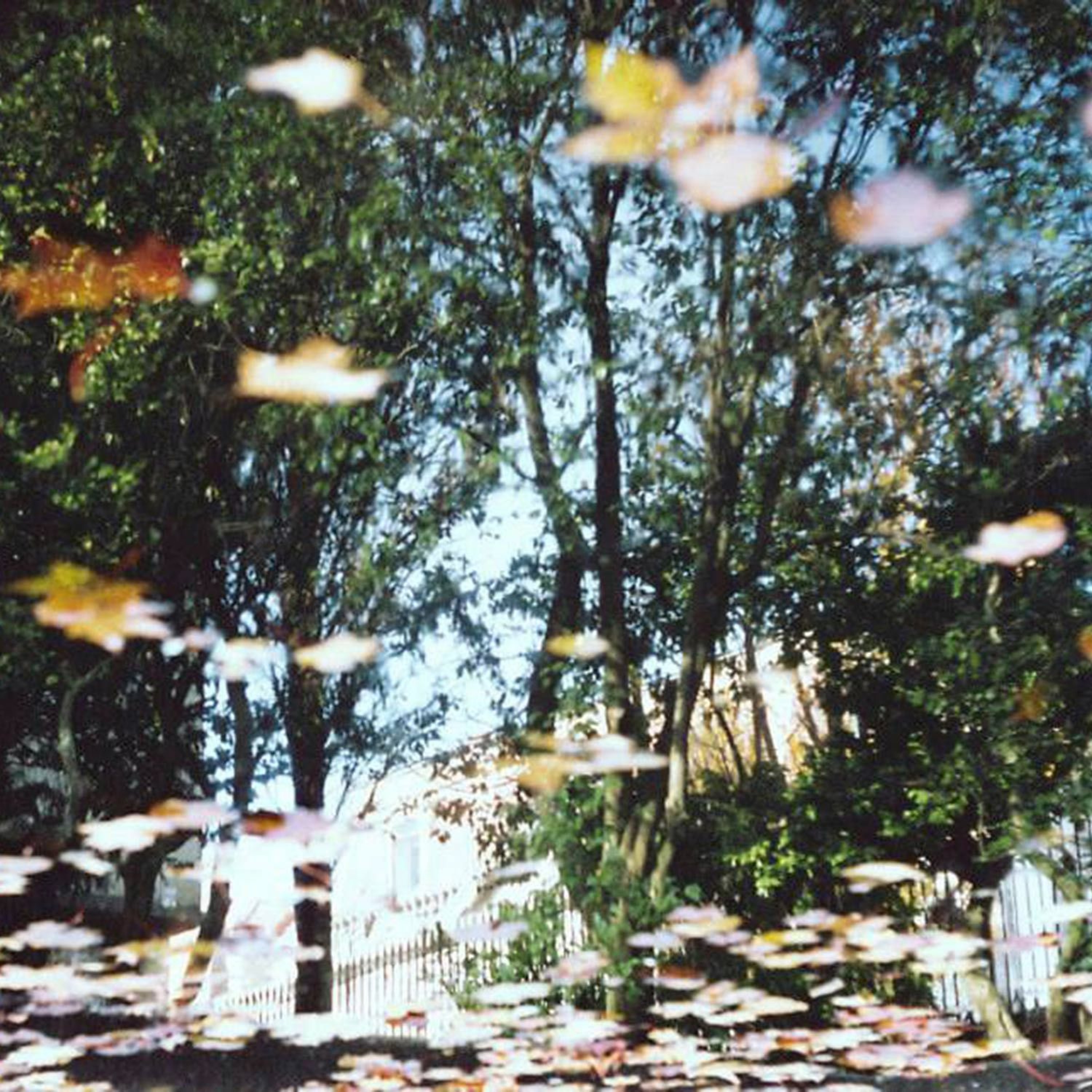 Soundhitectures soundcloud feed