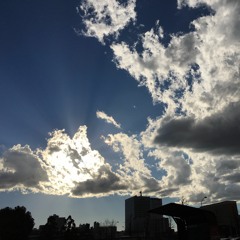 Works: Yuki Tosaya/TG Soundsystem