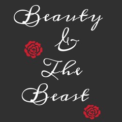 Beauty and The Beast (Cover)
