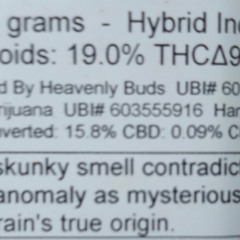 Indica Hybrid