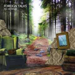 Foreign Talks - Wasted