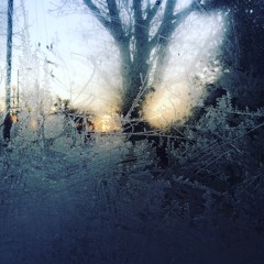 If little molecules can do it why can't I?