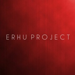 ERHU PROJECT D