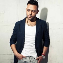 تامر عاشور انت اخترت