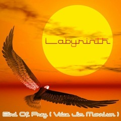 LABYRINTH - Bird Of Prey ( Voice Jim Morrison )