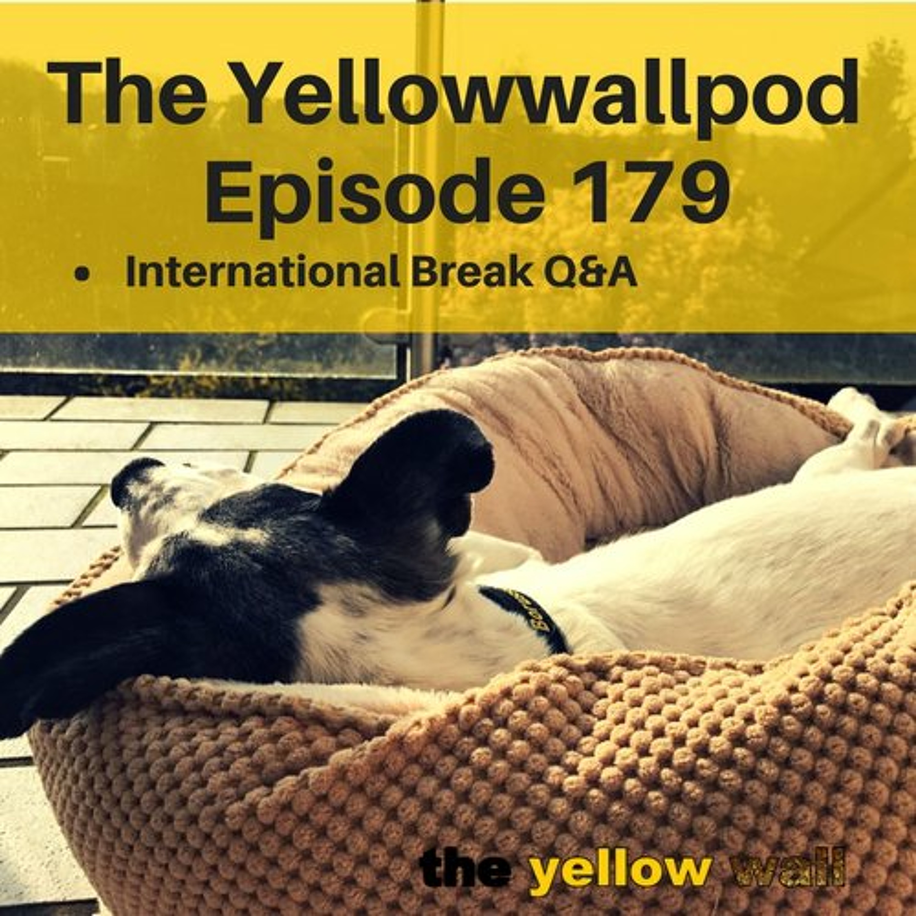 Yellowwallpod
