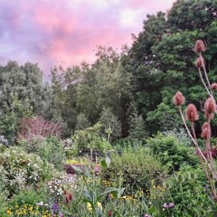 Ophelia (marika hackman)