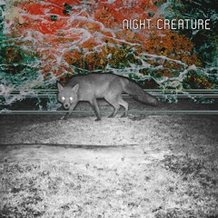 Night Creature // Puro Jekuto