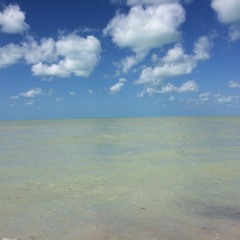 3- En Agua  Fragment 1