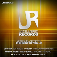 Various Artists / The Best Of Vol.2 [UNDEDIGI021]