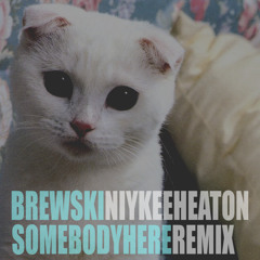 Brewski - Niykee Heaton (Somebody Here Remix)