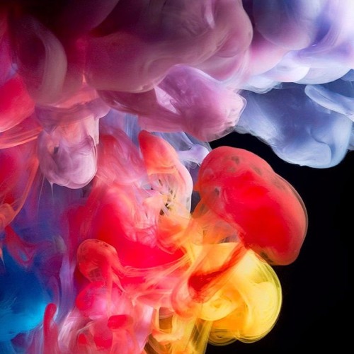 CerebralCortex27  - Little Jelly 5.2