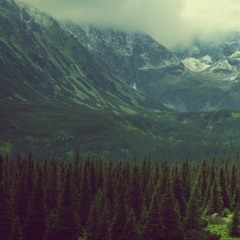 Zedd feat. Selena Gomez - Want You to Know (wave remix) [2017 edit]