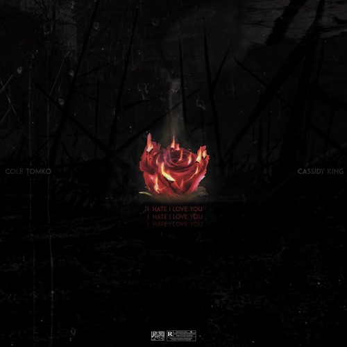 IHILY (I hate I love you) - Cole Tomko x Cassidy King