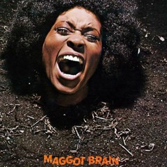 Funkadelic - Maggot Brain (CerebralCortex27)