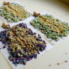 2017 FIRE IT UP session