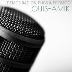 PUB RADIO LOCALE - LE DOMAINE DU RUISSEAU - VAL-DES-MONTS