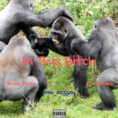 SHAH SHAH In This Bitch Feat. IMG Rozzay & Bran$taks