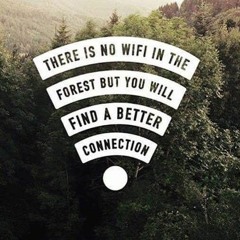 No Wifi Interlude [Prod. TrellGotWings]