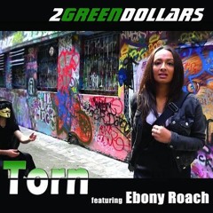 Torn (Tonky's 'Ripped' Remix)- 2greendollars ft. Ebony Roach