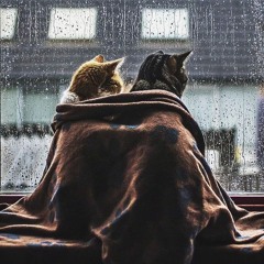 ₮HE ₩EEK₦D & ₭EHL₳Nl vs. M₳RTlN G₳RRlX & DU₳ LlP₳(ScaredToDieForYouUndercover) - Mashup