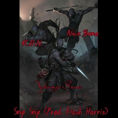 New Solution - Snip Snip