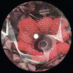 RNSLML010 - Yusuke Yamamoto / Nicolas Diez / Diez, Bellomo - No Signal / Amazonia