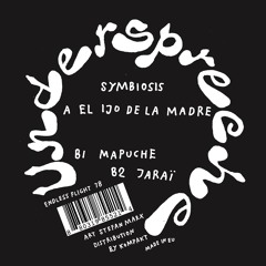 b1 mapuche