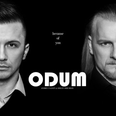 ODUM - Из-за тебя