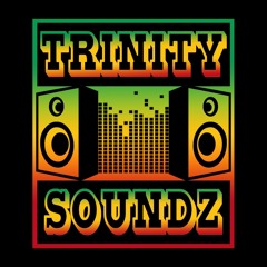 TRINITY SOUNDZ (CANSAMAN) LIVE ON NICE UP RADIO (03-28-2017) (REGGAE)