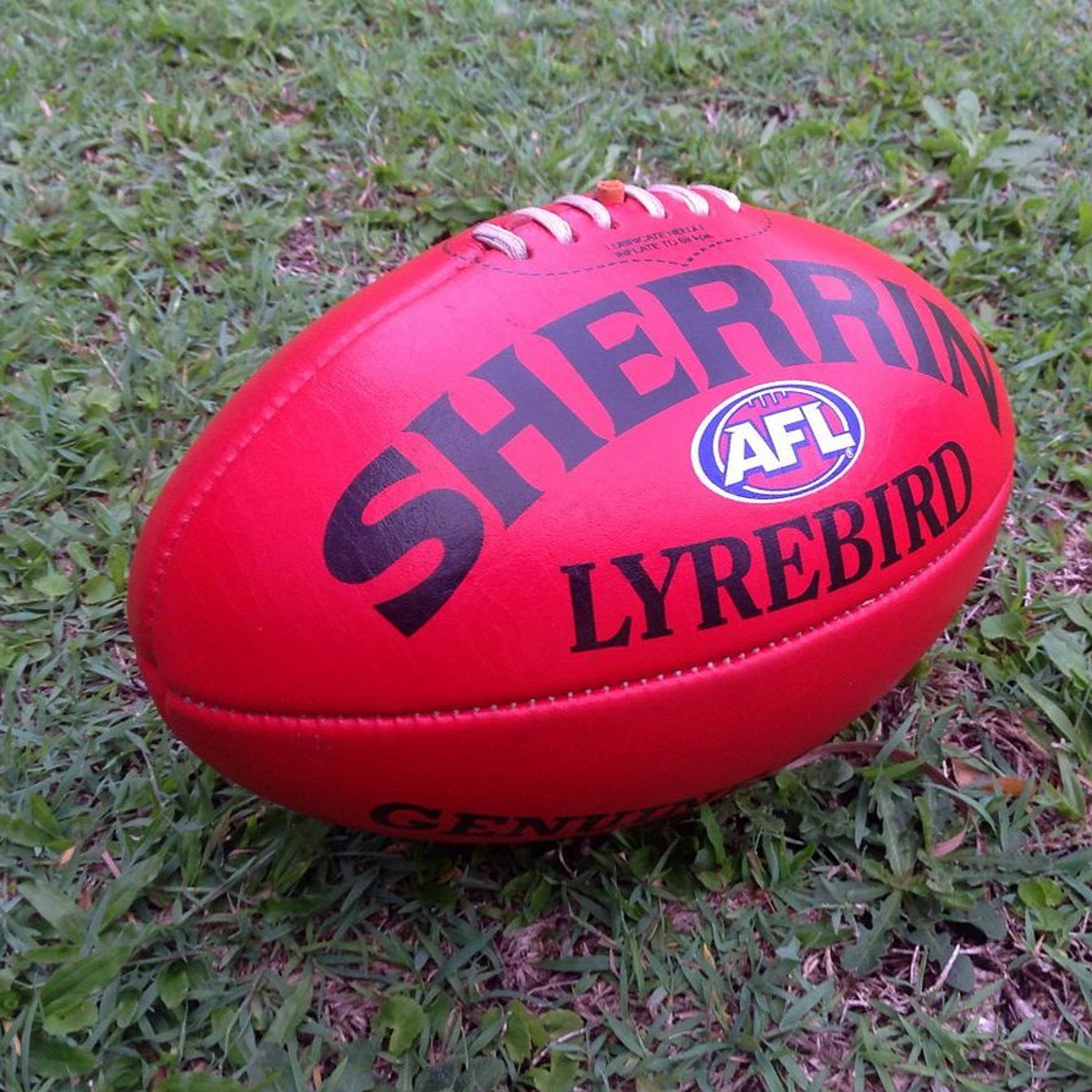 'One With the Footy: Part Two' - A talk by ZGWA Sangha-member Phil McNamara (3 September 2015) episode artwork