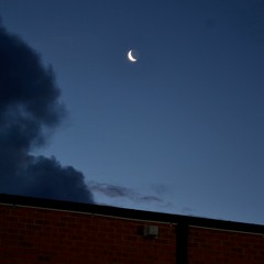 The Moon