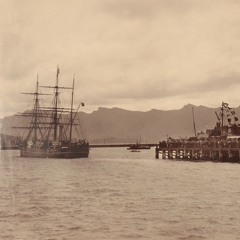 Antarctic microbes from Scott's Discovery Expedition