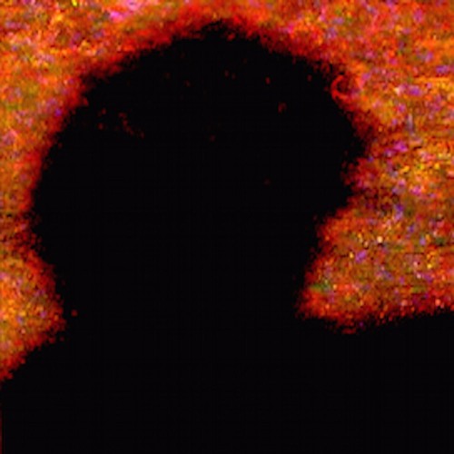 find me a place to lay