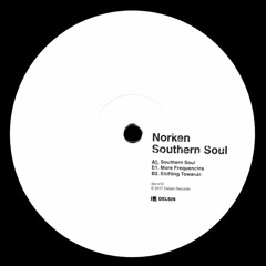 Norken - Southern Soul - Delsin Records (DSR-X10)