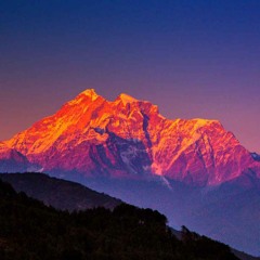 Dharamsala [Free Download]