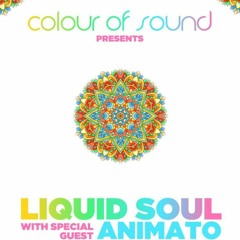 Colour Of Sound Day Party Activator - Liquid Soul & Animato - DJ Set