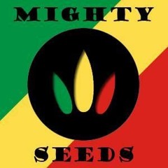 Mighty Seeds - From Dem