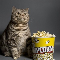 Norman Weekly (30.3.17)