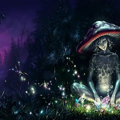HareLogic- Magic Mushrooms