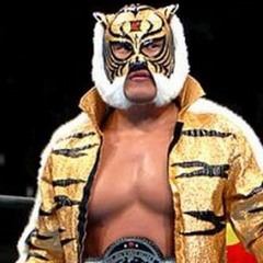 Tiger Mask Entrance Theme - You Can Become A Tiger (NJPW)